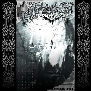 收聽Yung Davii的FallingInThisCup (feat. KING$AW) (Explicit)歌詞歌曲