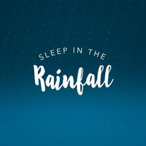 Nature Sounds Sleep的專輯Sleep in the Rainfall