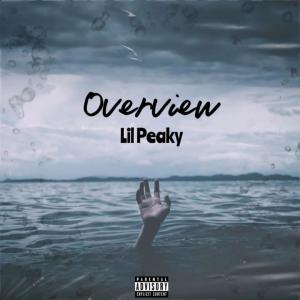 收聽Lil Peaky的Overview (feat. Ookay & OTR)歌詞歌曲