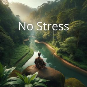 Anti Stress Music Zone的專輯No Stress (Serene Nature Ambience, Instrumental Music for Calming and Stress Relief)