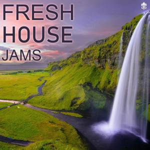 收听Jonas Flores的Back Home歌词歌曲