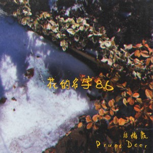 话梅鹿的专辑花的名字 8.6