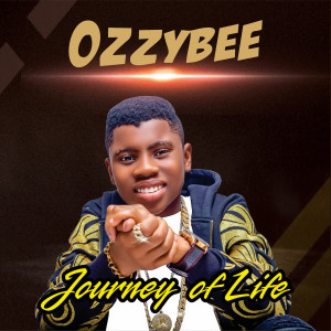Listen to Shake It song with lyrics from OzzyBee