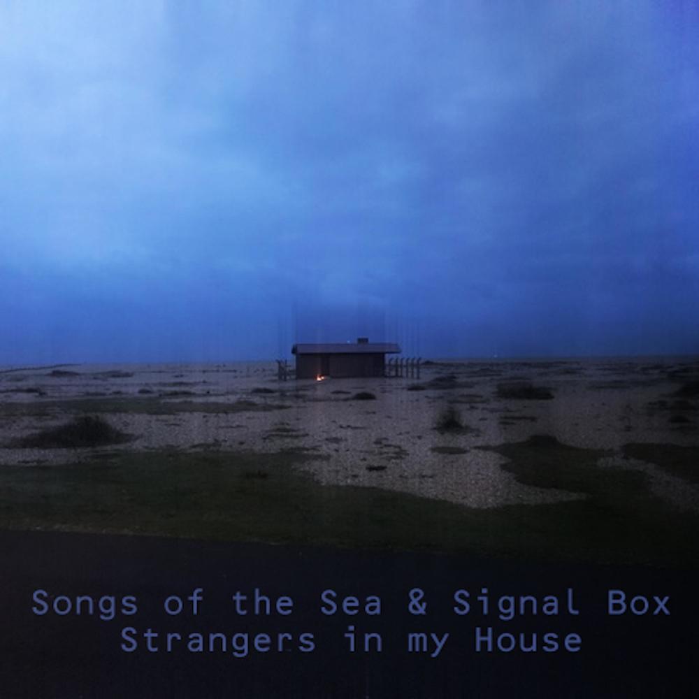 Strangers in my House (feat. Signal Box)