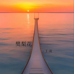 Listen to 樊梨花 song with lyrics from 王沫