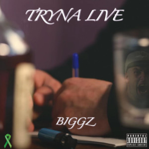 Listen to Tryna (Live) (Explicit) (Live|Explicit) song with lyrics from Biggz
