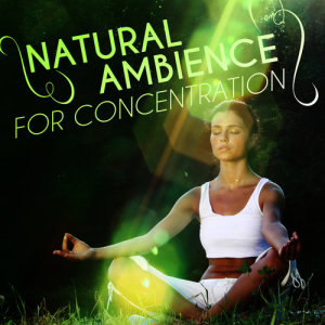 ดาวน์โหลดและฟังเพลง Quiet Meadow พร้อมเนื้อเพลงจาก Natural Concentration Sounds
