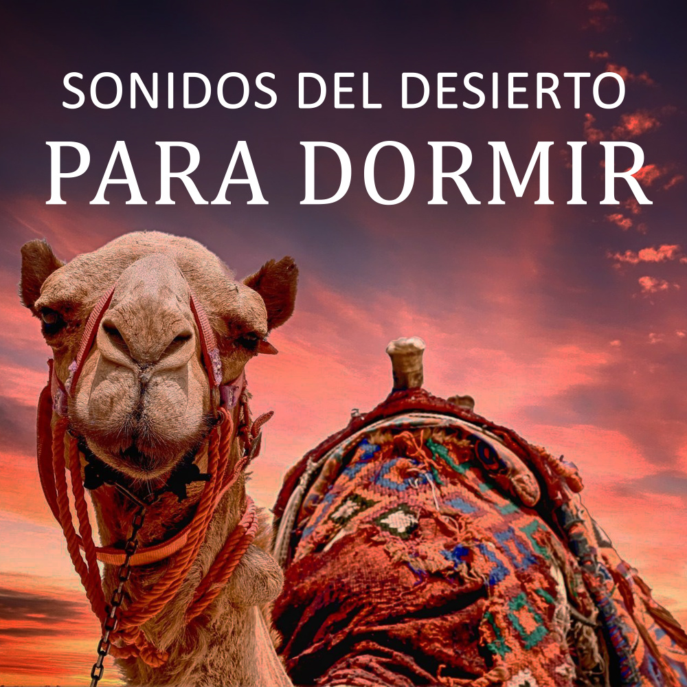 Sonidos Del Desierto Para Dormir