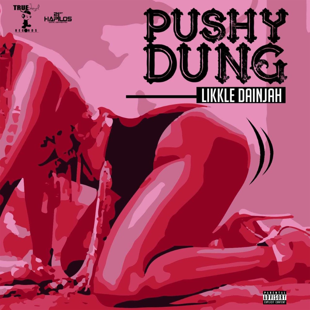 Pushy Dung (Radio Edit)