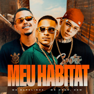 Listen to Meu Habitat (Explicit) song with lyrics from Mc Capelinha