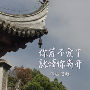 蒼狼的專輯你若不愛了就請你離開