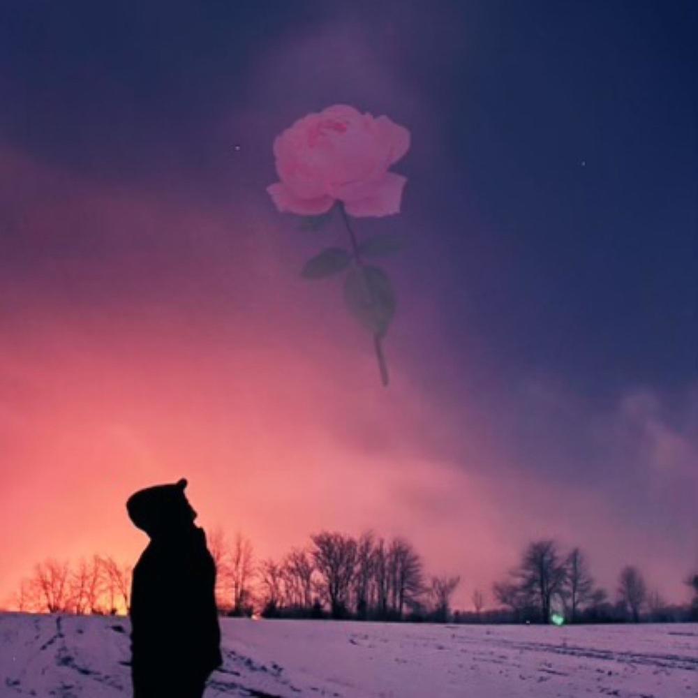 Rose(feat. HoobeZa & Prod. HoobeZa) (Explicit)