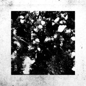 Album Chiaroscuro from 