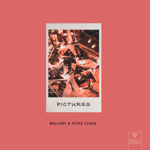 ดาวน์โหลดและฟังเพลง Pictures พร้อมเนื้อเพลงจาก Wallaby