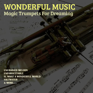 อัลบัม Magic Trumpets For Dreaming ศิลปิน Wonderful Music