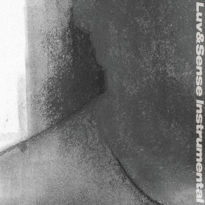 Album Luv&Sense Instrumental from Grooveman Spot