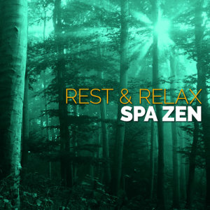 ดาวน์โหลดและฟังเพลง Serenity Stream พร้อมเนื้อเพลงจาก Rest