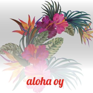 ดาวน์โหลดและฟังเพลง Aloha Oe พร้อมเนื้อเพลงจาก Johnny Pineapple