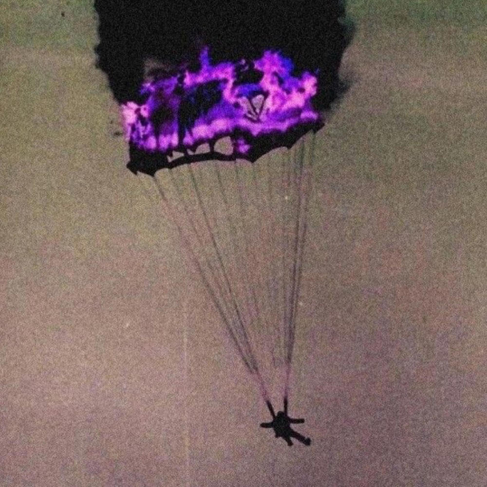 Cicada (Explicit)