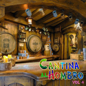 Listen to Amor Grande Y lejano song with lyrics from Dueto Valencia Rivadeneira