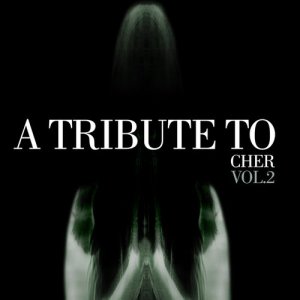 ดาวน์โหลดและฟังเพลง All I Ever Need Is You (Cover Version) พร้อมเนื้อเพลงจาก Various Artists - Cher Tribute