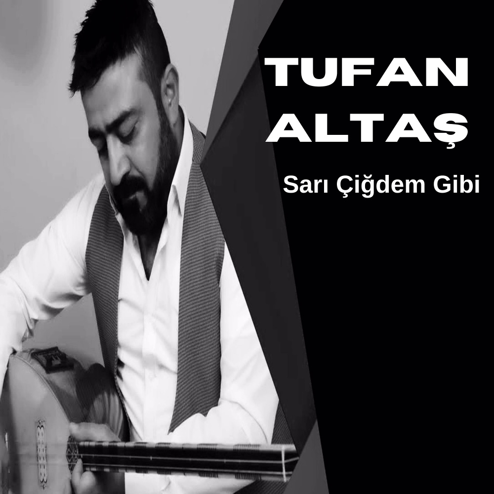 Sarı Çiğdem Gibi