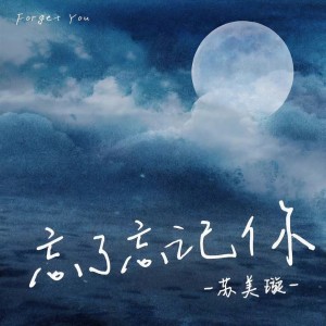 Album 忘了忘记你 from 苏美璇
