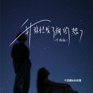 Album 我曾经发了疯的想（对唱版） from 千百顺