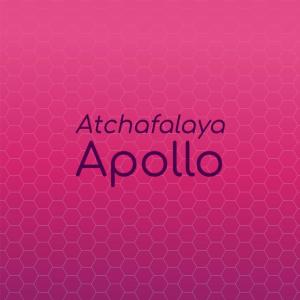 收听Jarl Mongo的Scrumptious Heaven歌词歌曲