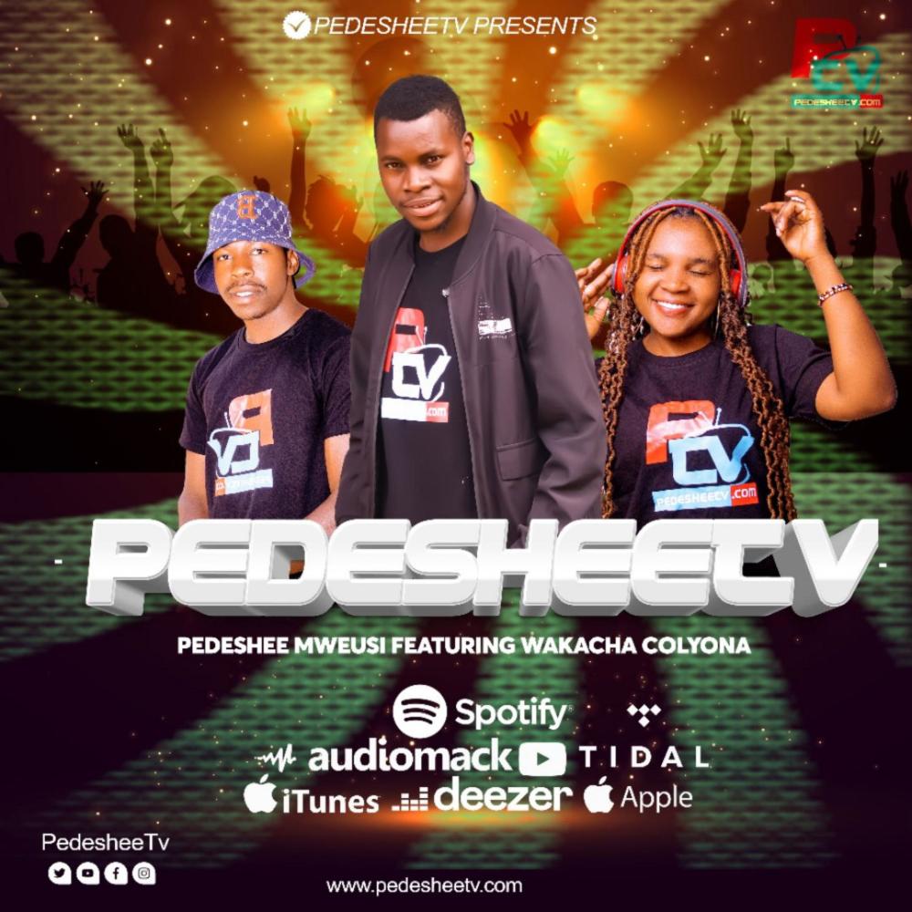 Pedesheetv.com (feat. Wakacha Colyona) (Explicit)
