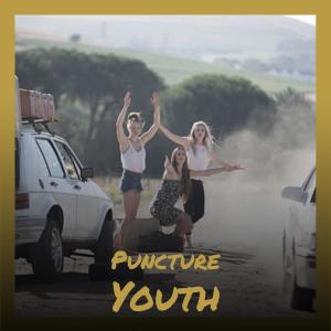 Album Puncture Youth oleh Various