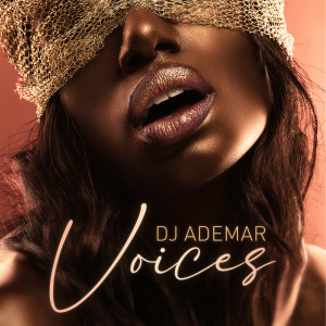 Album Voices from Dj Ademar