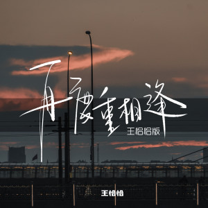 Album 再度重相逢 (王恰恰版) oleh 王恰恰