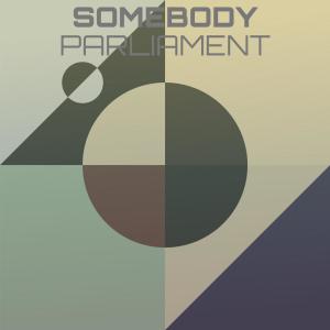 Listen to Somebody Parliament song with lyrics from Cames Noek