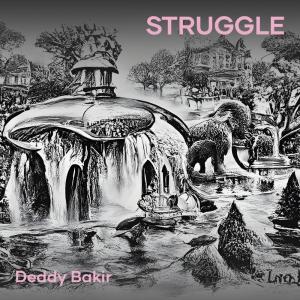 DEDDY BAKIR的专辑Struggle (Acoustic)
