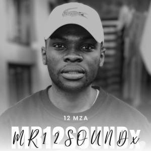 收聽12 Mza的Vuku Uphande歌詞歌曲