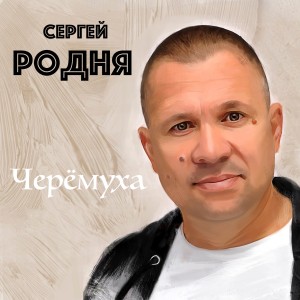 Listen to Двенадцать месяцев song with lyrics from Сергей Родня
