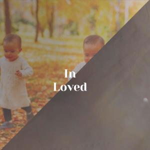 Various Artists的專輯In Loved