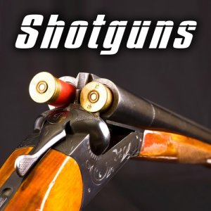 ดาวน์โหลดและฟังเพลง Benelli M4 12 Gauge Shotgun Fires a Single Shot 1 พร้อมเนื้อเพลงจาก Sound Ideas