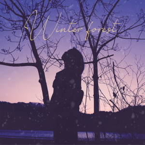 Listen to Winter forest song with lyrics from JIHYE