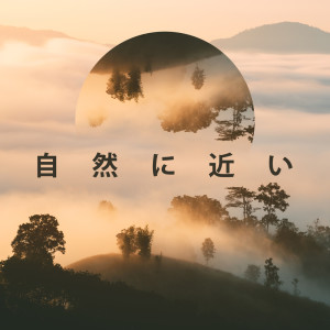 Album 自然に近い：身体と魂の解毒 from 睡眠音楽のアカデミー