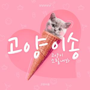ดาวน์โหลดและฟังเพลง Say Meow Meow (歌曲《學貓叫》韓文版) พร้อมเนื้อเพลงจาก 尤沫Dina
