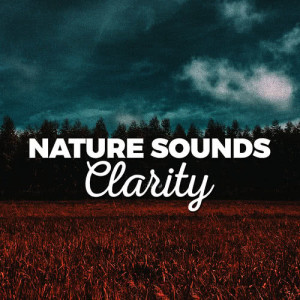 ดาวน์โหลดและฟังเพลง Woodland Brook พร้อมเนื้อเพลงจาก Mediation Sounds of Nature