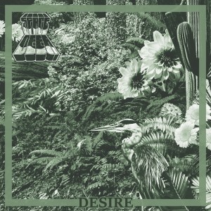 收聽Space Deer的Desire歌詞歌曲