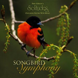 ดาวน์โหลดและฟังเพลง Hermit Thrush พร้อมเนื้อเพลงจาก Dan Gibson's Solitudes
