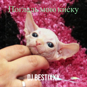 Album Погладь мою киску from Dj Bestixxx