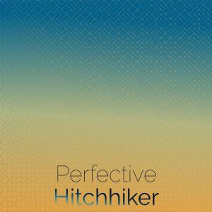 Various的专辑Perfective Hitchhiker