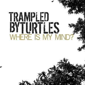 Album Where Is My Mind? from Trampled By Turtles