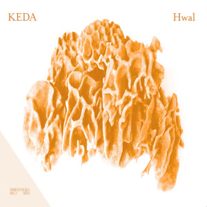 收聽Keda的Hwal歌詞歌曲