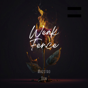 อัลบัม Weak Fence (Explicit) ศิลปิน Maestro Don